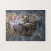 Cute kitten portrait de chat, 252 pièces puzzle pu (Horizontal)