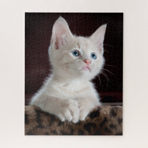 Cute Kitten Portrait Legpuzzel