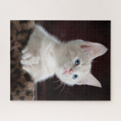 Cute Kitten Portrait Legpuzzel (Horizontaal)