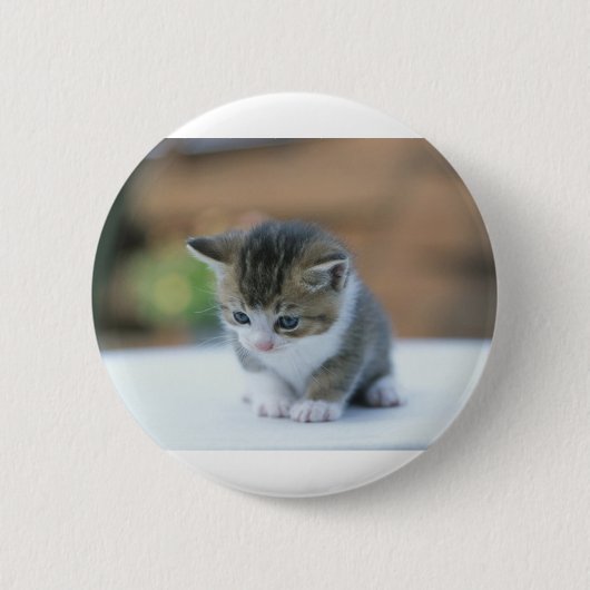 Cute Kitten Ronde Button 5,7 Cm (Voorkant)