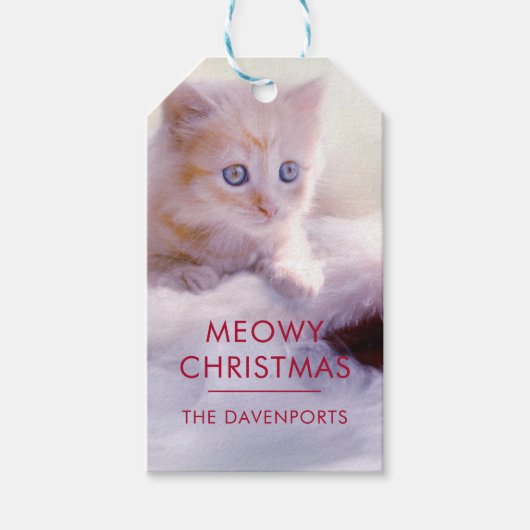 Cute Kitten rust op een kerstman met kerstmis Cadeaulabel (Voorkant)