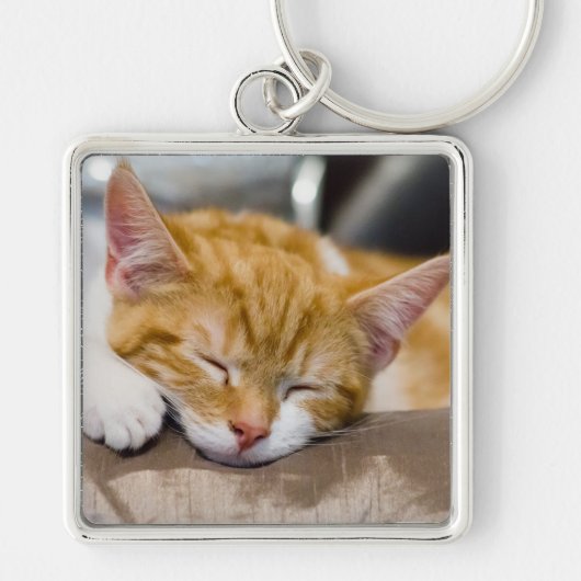 Cute Kitten Sleutelhanger (Voorkant)