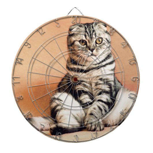 Cute Kitten Sprawout Dartbord (Voorkant)