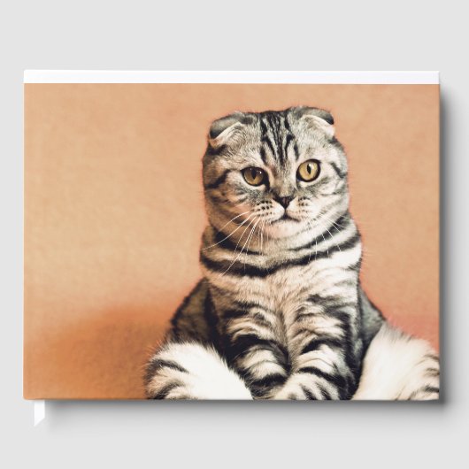 Cute Kitten Sprawout Gastenboek (Voorkant)