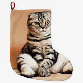 Cute Kitten Sprawout Grote Kerstsok