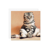 Cute Kitten Sprawout Kaart (Voorkant / Achterkant in situ)