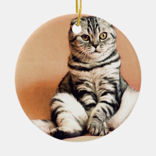 Cute Kitten Sprawout Keramisch Ornament (Voorkant)
