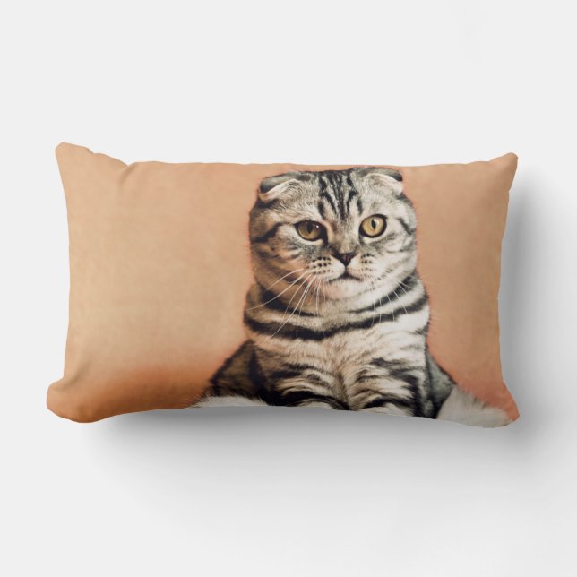 Cute Kitten Sprawout Kussen (Voorkant)