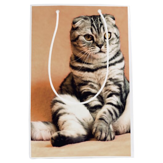 Cute Kitten Sprawout Medium Cadeauzakje (Voorkant)