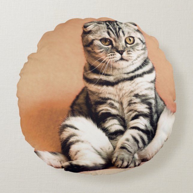 Cute Kitten Sprawout Rond Kussen (Voorkant)