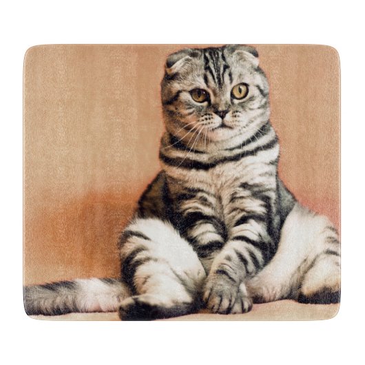 Cute Kitten Sprawout Snijplank (Voorkant)