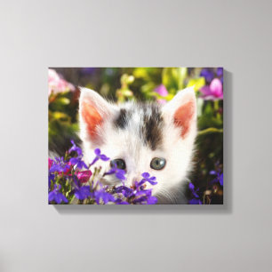 Cute Kitten Spring Flowers Garden Cat Foto Canvas Afdruk