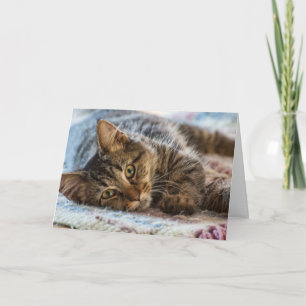 Cute Kitten Thinking of You Wenskaart Kaart