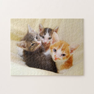 Cute Kitten Trio Legpuzzel