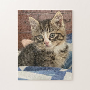 Cute Kitten Verlaat deze afbeelding of voeg je e Legpuzzel