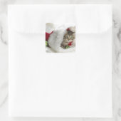 Cute Kitten Vierkante Sticker (Tas)