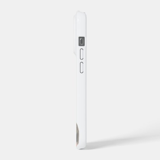 cute kittens (Côté gauche)