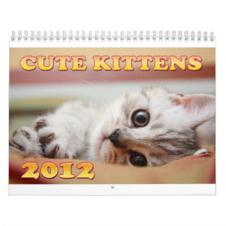 Cute Kittens 2012 Agenda Kalender