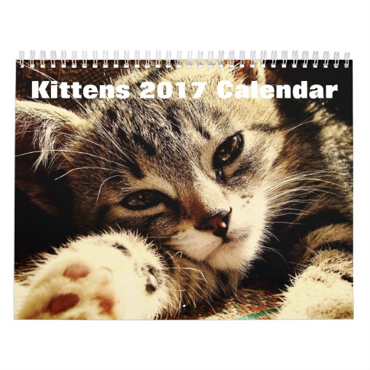 Cute Kittens 2017 Kalender (Hoes)