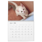 Cute Kittens 2024 Cat Pet Calendrier photo (Mar 2026)
