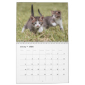 Cute Kittens 2024 Cat Pet Calendrier photo (Jan 2026)