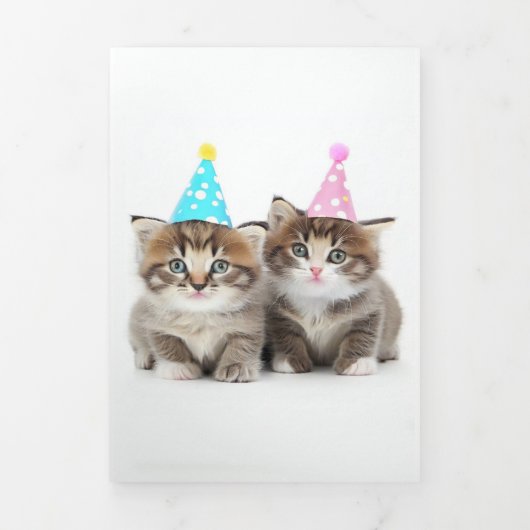 Cute Kittens Birthday Kaart 2 (Cover)