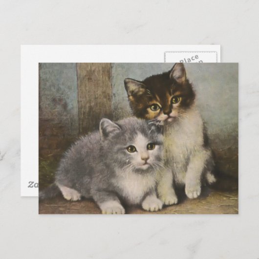 Cute Kittens Briefkaart (Voorkant / Achterkant)