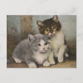 Cute Kittens Briefkaart (Voorkant)