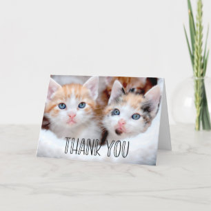 Cute Kittens Foto Whimsical Typografie Bedankkaart