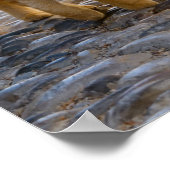 Cute Kittens Friends Walk the Same Path Photo - Poster (Hoek)