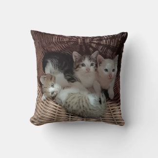 Cute Kittens in Basket Throw Pillow Kussen