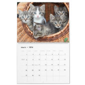 Cute Kittens Kalender (Mar 2026)