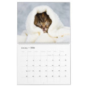 Cute Kittens Kalender (Jan 2026)