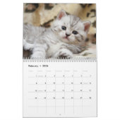 Cute Kittens-kalender Kalender (Feb 2026)