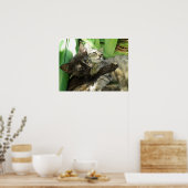 Cute kittens kuddling poster (Keuken)