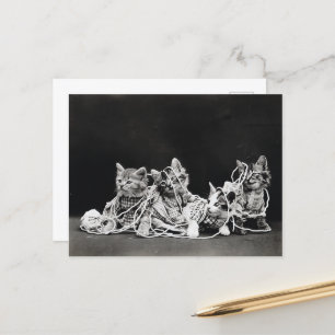 Cute  Kittens met Yarn Briefkaart