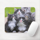 Cute Kittens Muismat (Met muis)