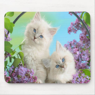 Cute Kittens Muismat
