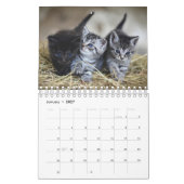 Cute Kittens Pet Photo Calendrier (Jan 2027)