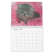 Cute Kittens Pet Photo Calendrier (Feb 2027)