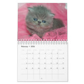 Cute Kittens Pet Photo Calendrier (Feb 2026)