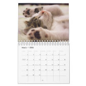 Cute Kittens Pet Photo Calendrier (Mar 2026)