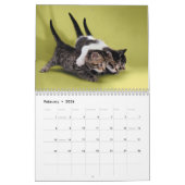Cute Kittens Photo Wall Agenda Kalender (Feb 2026)
