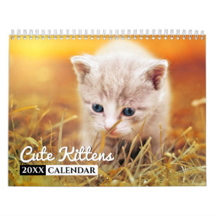 Cute Kittens Photo Wall Agenda Kalender