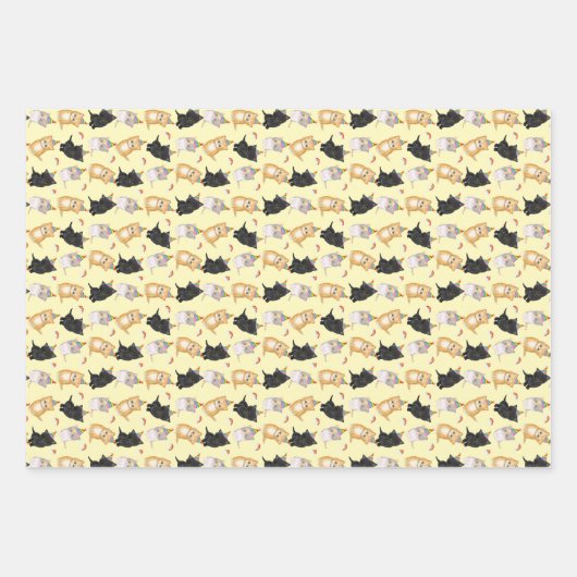 Cute kittens regenboogverjaardagspapier inpakpapier vel (Voorkant 3)