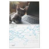 CUTE KITTIE CATS-kalender Kalender (Feb 2026)