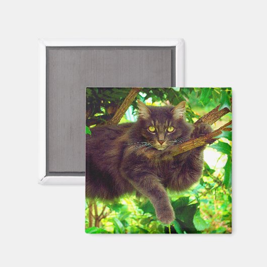 Cute Kitty Cat Magneet (Voorkant / Achterkant)