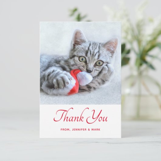 Cute Kitty Chat Biting a Red Santa Hat Merci (Debout devant)