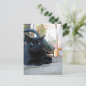 Cute Kitty Laying - carte postale (Debout devant)