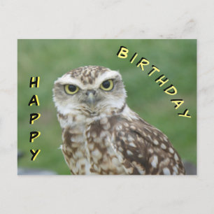 Cute kleine uil gefeliciteerd verjaardagsansichtka briefkaart